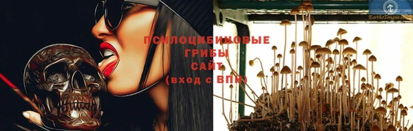 винт Армянск